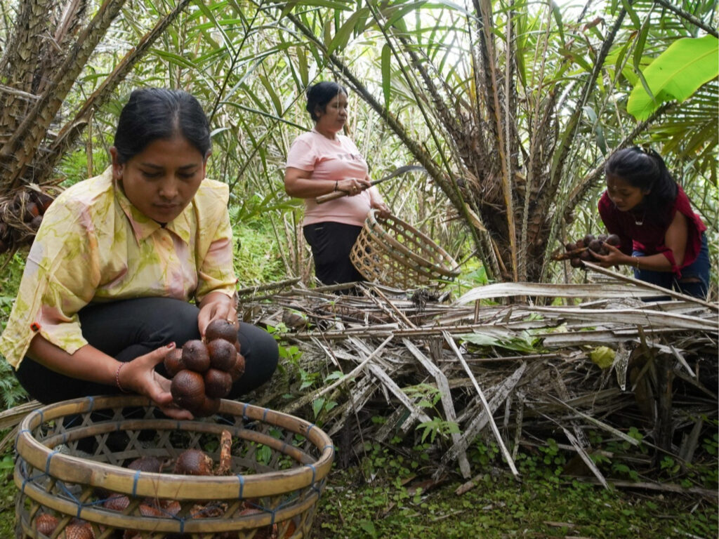 Preservando la biodiversidad a través de la agricultura tradicional