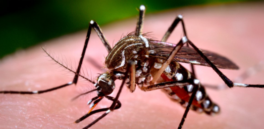 Zika podría transmitirse por contacto sexual