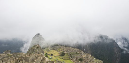 Avistan osos de anteojos en ciudadela inca de Machu Picchu