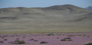 El laboratorio natural en Chile para un futuro con cambio climático