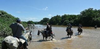 Nicaragüenses cruzan hacia Honduras a vacunarse contra covid-19