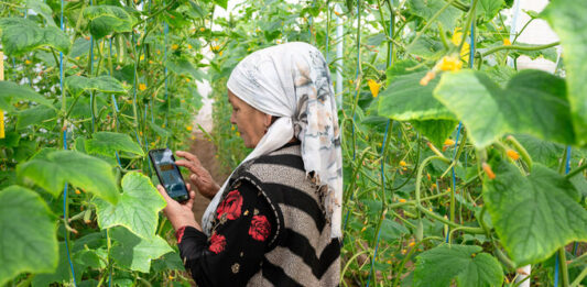 Cultivando el futuro la iniciativa de las 1.000 aldeas digitales en acción