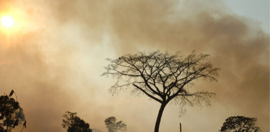 Alerta climática 2023 un año de récords peligrosos y el urgente llamado a la acción global