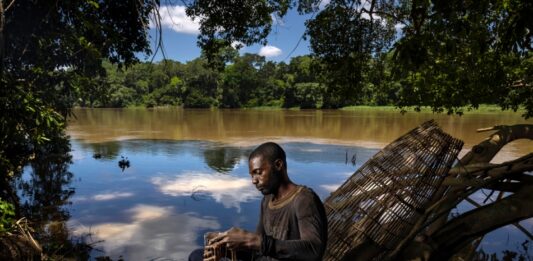 Cómo los juegos salvaguardan la fauna silvestre y las comunidades que dependen de ellas