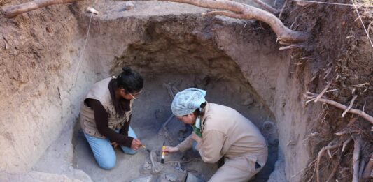 Cómo el cine modela nuestra percepción de la arqueología