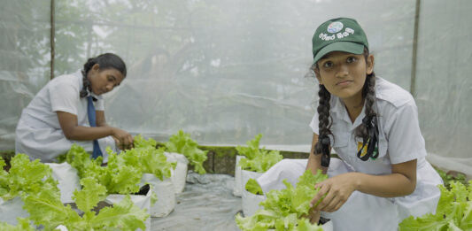 Habilidades empresariales desde el jardín el impacto educativo de los huertos escolares