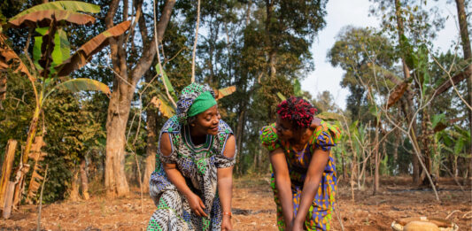 La década de la mujer rural impulsando el desarrollo sostenible en las américas