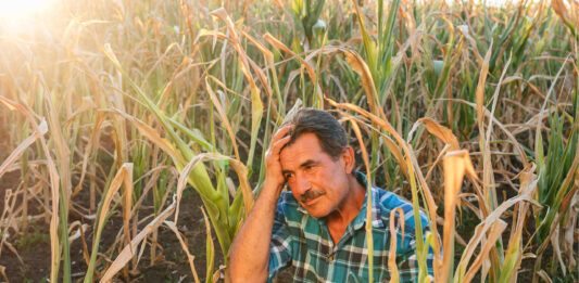 Riesgos y respuestas el impacto del cambio climático en la seguridad laboral