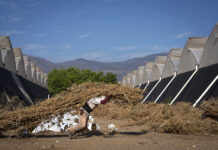 El calor excesivo y su mortal impacto en los trabajadores, según la OIT