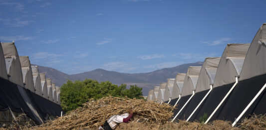 El calor excesivo y su mortal impacto en los trabajadores, según la OIT