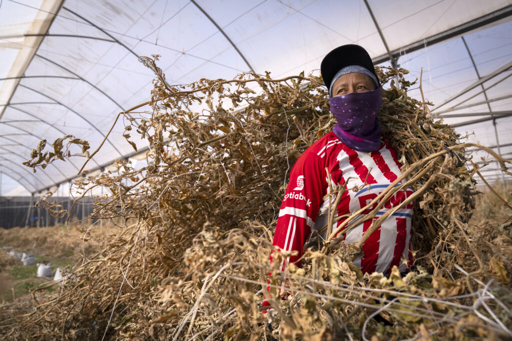 El calor excesivo y su mortal impacto en los trabajadores, según la OIT