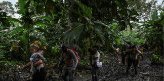 Iniciativa de Estados Unidos y Panamá reforzará control migratorio en el Darién