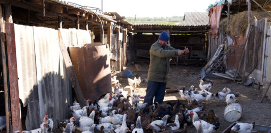 Resiliencia en el campo cómo una familia supera la crisis agrícola