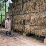 La respuesta de una comunidad rural a los desafíos climáticos para la producción de forraje