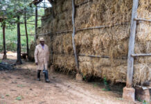 La respuesta de una comunidad rural a los desafíos climáticos para la producción de forraje