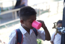 De la semilla a la escuela cómo una legumbre está nutriendo a la próxima generación