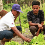 Innovación agrícola durante la temporada de lluvias para beneficio de una comunidad rural