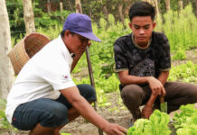 Innovación agrícola durante la temporada de lluvias para beneficio de una comunidad rural