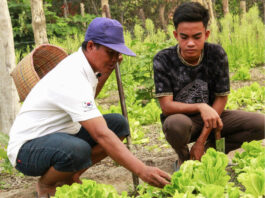 Innovación agrícola durante la temporada de lluvias para beneficio de una comunidad rural