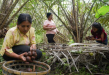 Preservando la biodiversidad a través de la agricultura tradicional