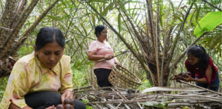 Preservando la biodiversidad a través de la agricultura tradicional