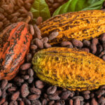 Cómo Santa Lucía se está posicionando en el mercado de cacao premium