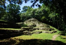 Descubrimientos en Yaxchilán revelan fusión de arquitectura maya y paisaje sagrado