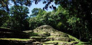 Descubrimientos en Yaxchilán revelan fusión de arquitectura maya y paisaje sagrado