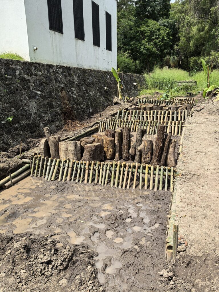 El Jardín Etnobotánico de Morelos se renueva con un innovador humedal para sus 50 años