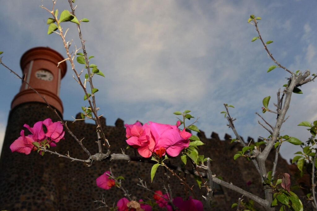 El Museo Regional de los Pueblos de Morelos celebra su aniversario con una exposición única 