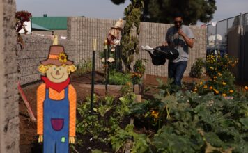 El festival «Creciendo Juntos» fomenta comidas escolares saludables y locales en Santa Ana 6