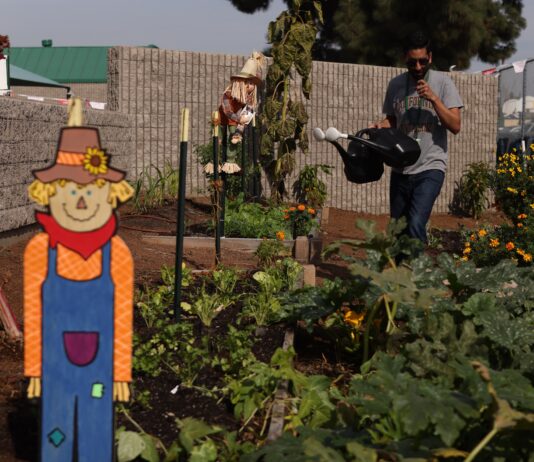 El festival «Creciendo Juntos» fomenta comidas escolares saludables y locales en Santa Ana 6