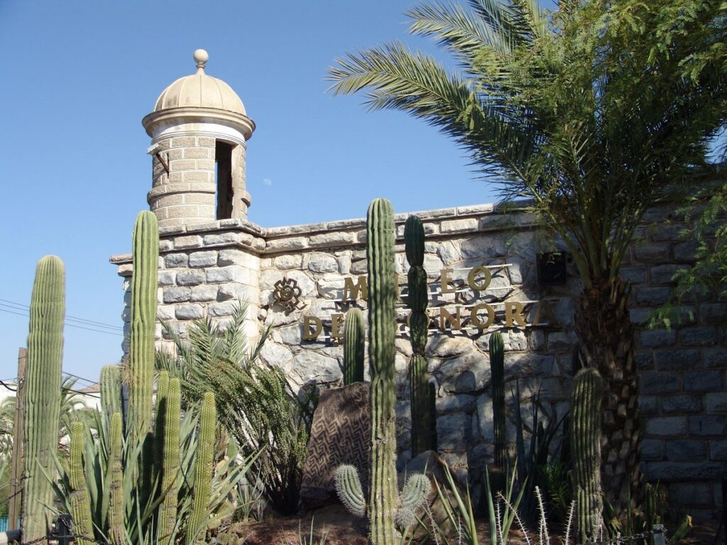 Exposición en Sonora celebra la repatriación del patrimonio cultural mexicano 2