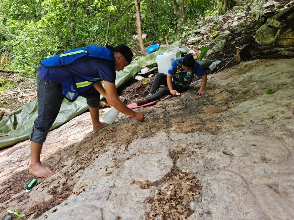 Nueva inscripción jeroglífica descubierta en Cobá arroja luz sobre los Mayas