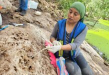 Nueva inscripción jeroglífica descubierta en Cobá arroja luz sobre los Mayas