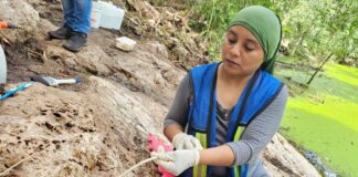 Nueva inscripción jeroglífica descubierta en Cobá arroja luz sobre los Mayas