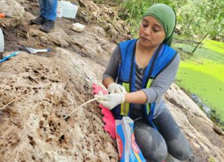 Nueva inscripción jeroglífica descubierta en Cobá arroja luz sobre los Mayas