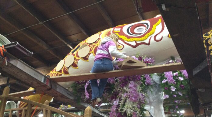 Carroza inspirada en la cultura japonesa destaca la donación de órganos en el Desfile de las Rosas 2