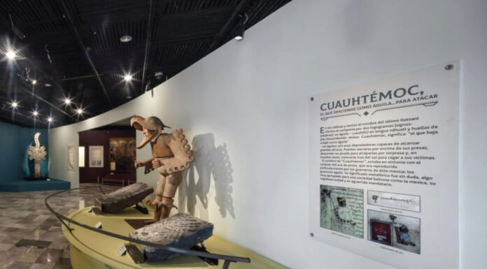 Descubre a Cuauhtémoc Exposición revive el legado del último tlatoani mexica