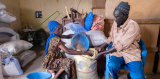 El futuro del pastoreo en África Desafíos y soluciones innovadoras