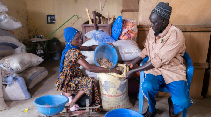 El futuro del pastoreo en África Desafíos y soluciones innovadoras