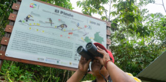 Manglares y cambio climático el papel crucial de las comunidades locales