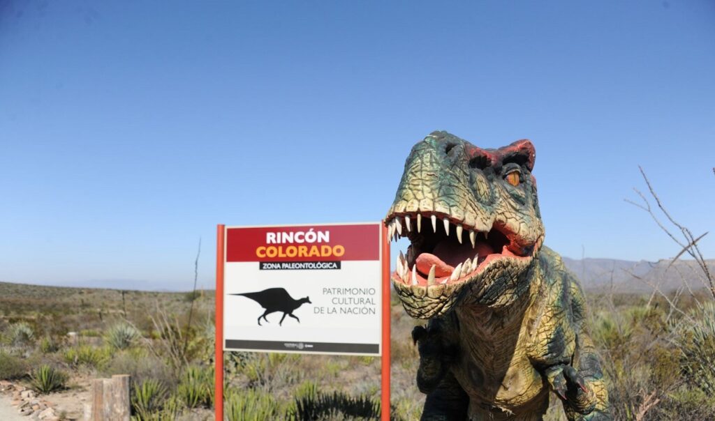 Rincón Colorado celebra su sexto aniversario como pionero en la paleontología de México