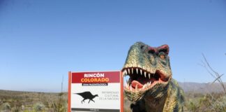 Rincón Colorado celebra su sexto aniversario como pionero en la paleontología de México