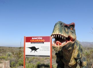 Rincón Colorado celebra su sexto aniversario como pionero en la paleontología de México