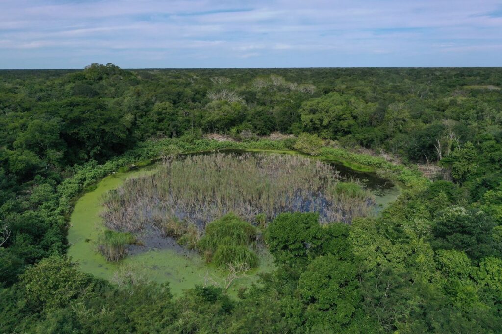 Descubrimiento arqueológico en X’baatún Revelaciones del pasado maya en Yucatán 