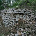 Descubrimiento arqueológico en X’baatún Revelaciones del pasado maya en Yucatán