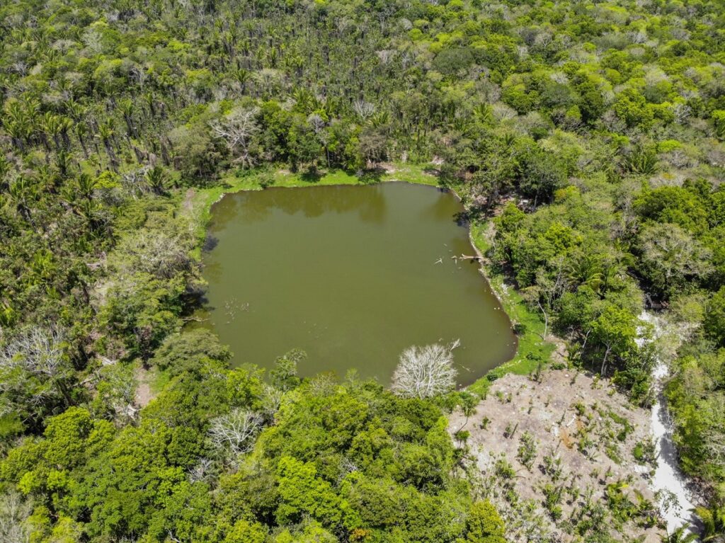 Ichkabal, la nueva joya arqueológica de Quintana Roo, abre sus puertas al mundo