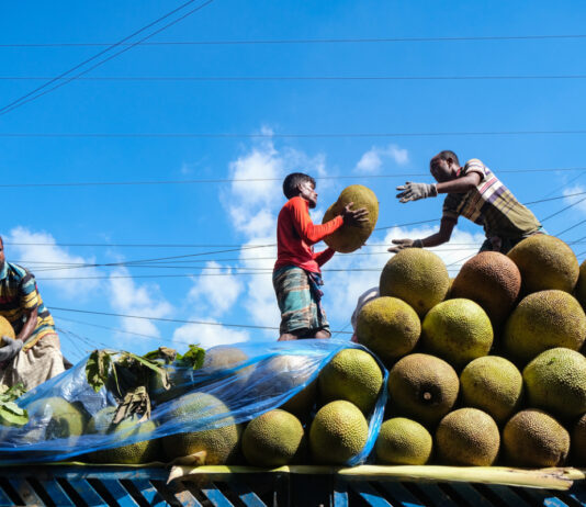 La fruta de la prosperidad El viaje de la jaca hasta los mercados globales