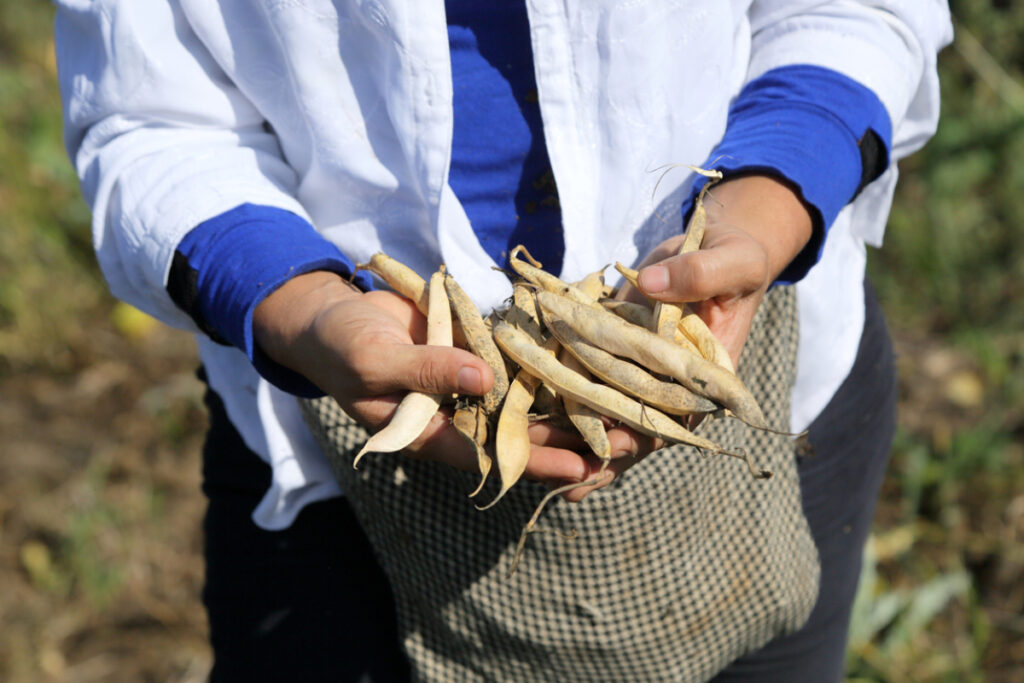 Unidas por la tierra Empoderamiento femenino a través de la agricultura